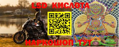 крисы Свободный